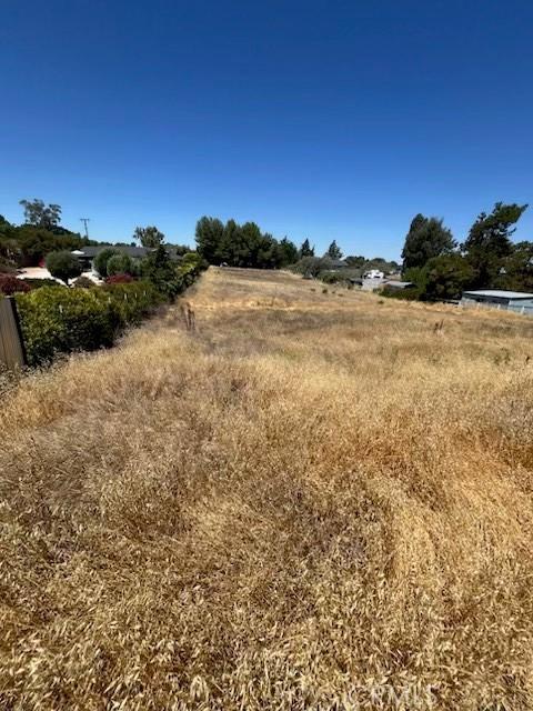 4515 Jardine Rd, Paso Robles, CA 93446 - photo 1