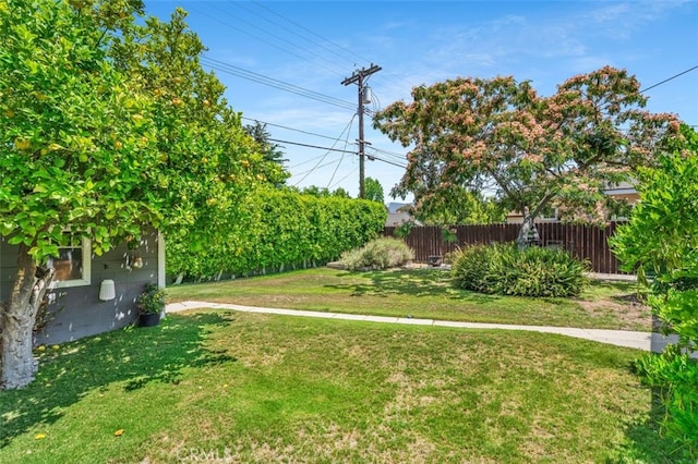1434 N Rose St, Burbank, CA 91505 - view of yard