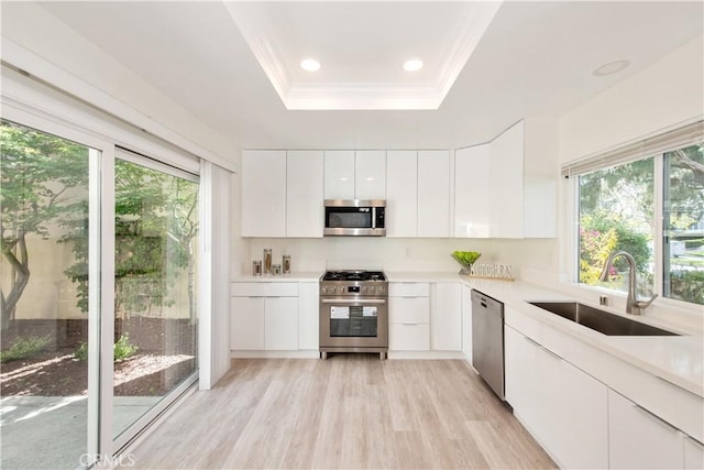 10 Windsong, Irvine, CA 92614 - kitchen with stainless steel appliances, plenty of natural light, modern cabinets, a tray ceiling, and ornamental molding