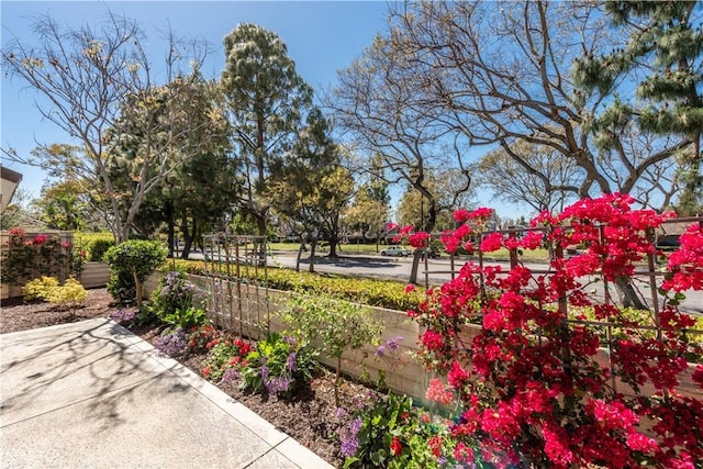 10 Windsong, Irvine, CA 92614 - view of yard