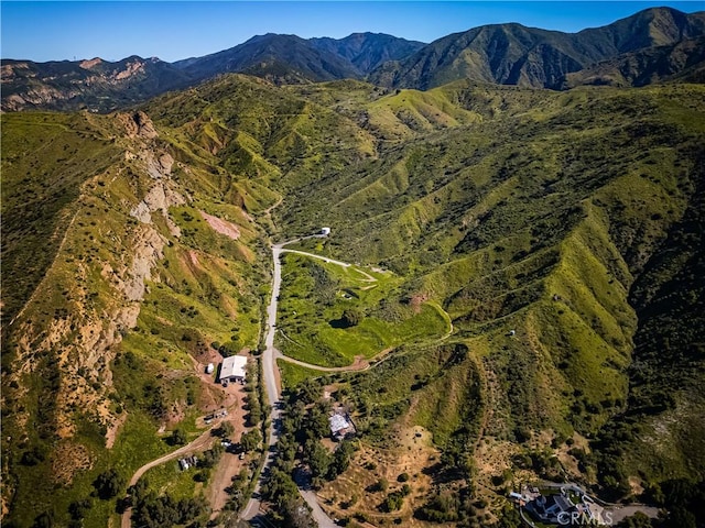 15902 Hope St, Silverado Canyon, CA 92676 - photo 7