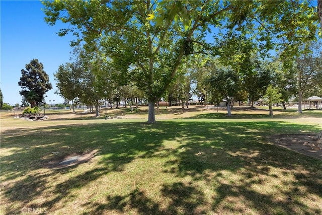 1225 Carlsbad St, Placentia, CA 92870 - surrounding community with a yard