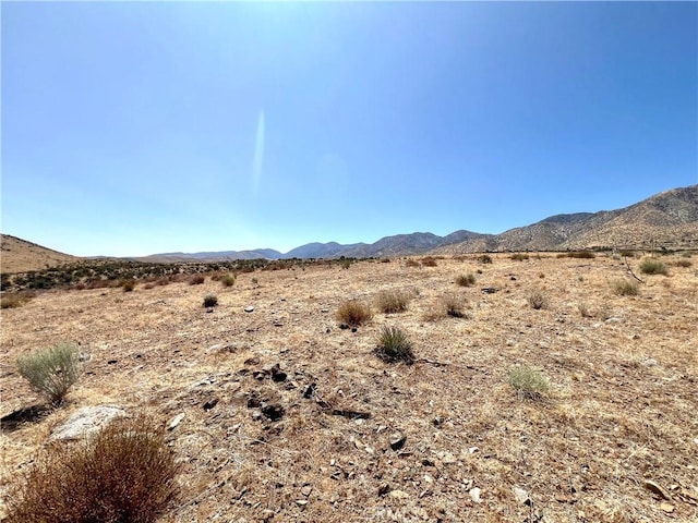 113 Juniper Mesa Rd, Juniper Hills, CA 93543