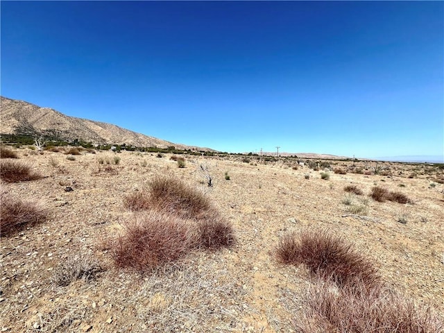 113 Juniper Mesa Rd, Juniper Hills, CA 93543