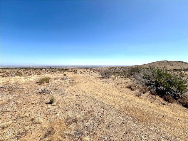 113 Juniper Mesa Rd, Juniper Hills, CA 93543