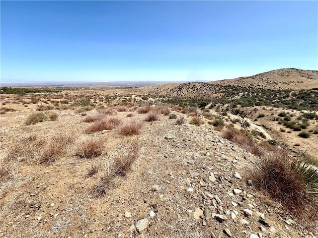 113 Juniper Mesa Rd, Juniper Hills, CA 93543