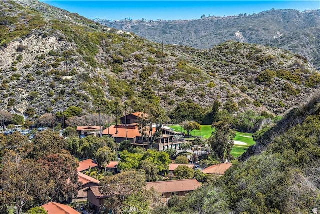 21659 Ocean Vista Dr Unit 20, Laguna Beach, CA 92651 - mountain view