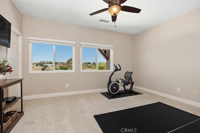 2841 Dos Lomas Pl, Fallbrook, CA 92028 - workout area featuring carpet floors, healthy amount of natural light, and a ceiling fan