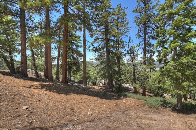 73 Metcalf Crk, Big Bear Lake, CA 92315 - photo 26