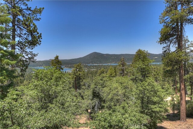 73 Metcalf Crk, Big Bear Lake, CA 92315 - photo 31