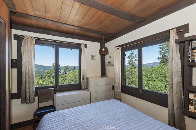 73 Metcalf Crk, Big Bear Lake, CA 92315 - photo 15