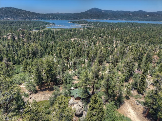 73 Metcalf Crk, Big Bear Lake, CA 92315 - photo 2