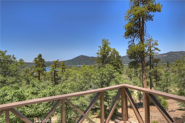73 Metcalf Crk, Big Bear Lake, CA 92315 - photo 23