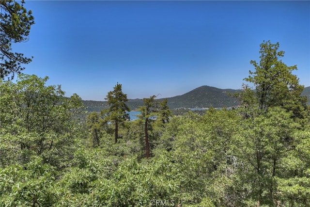 73 Metcalf Crk, Big Bear Lake, CA 92315 - photo 22