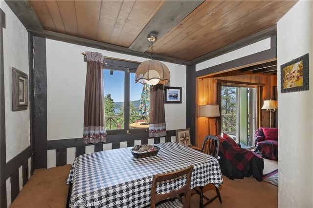 73 Metcalf Crk, Big Bear Lake, CA 92315 - photo 8