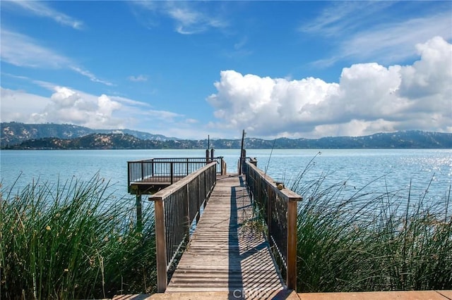 8610 Soda Bay Rd, Kelseyville, CA 95451 - photo 21