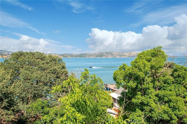 8610 Soda Bay Rd, Kelseyville, CA 95451 - photo 4