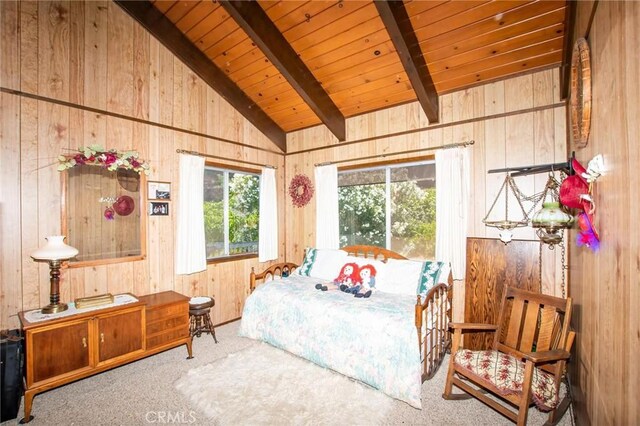 8610 Soda Bay Rd, Kelseyville, CA 95451 - photo 13