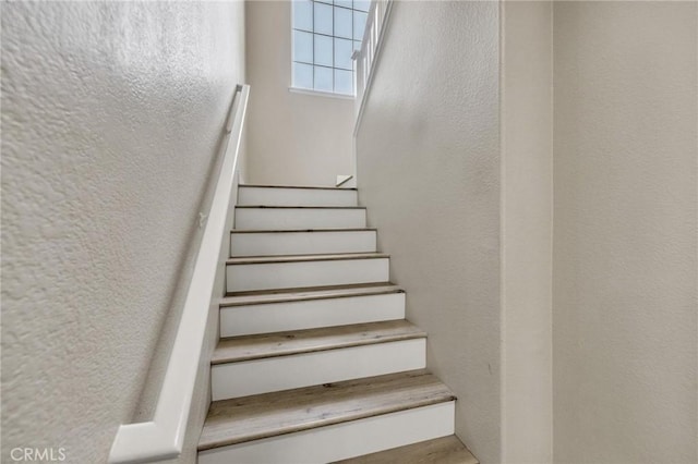 27945 Tree Ridge St, Murrieta, CA 92563 - photo 28
