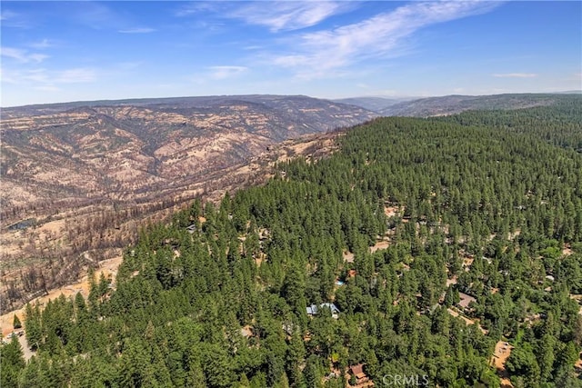 15320 Forest Ranch Way, Forest Ranch, CA 95942 - view of mountain backdrop with a forest