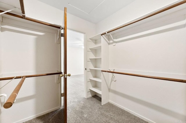 2239 Sunset Dr, Escondido, CA 92025 - walk in closet with carpet flooring