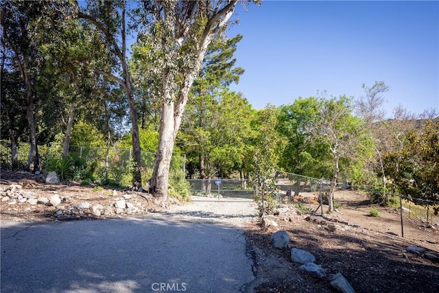 3192 Lytle Creek Rd, Lytle Creek, CA 92358 - photo 58