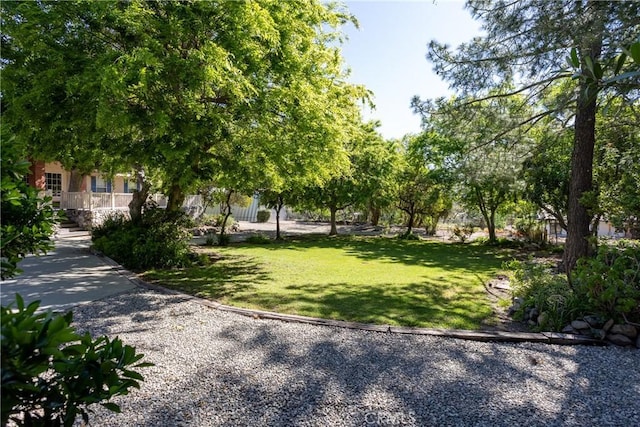 3192 Lytle Creek Rd, Lytle Creek, CA 92358 - photo 30