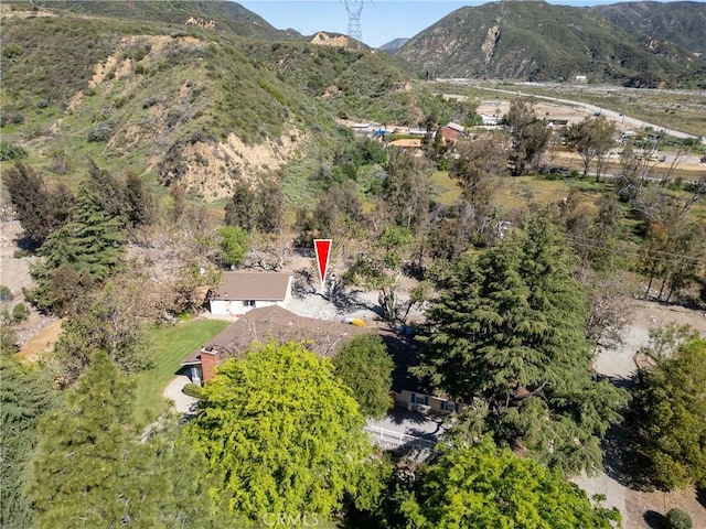 3192 Lytle Creek Rd, Lytle Creek, CA 92358 - photo 51