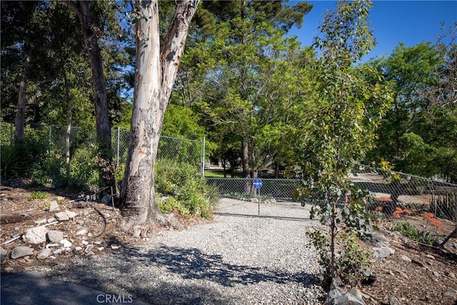 3192 Lytle Creek Rd, Lytle Creek, CA 92358 - photo 57