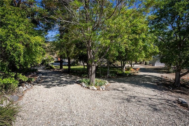3192 Lytle Creek Rd, Lytle Creek, CA 92358 - photo 39