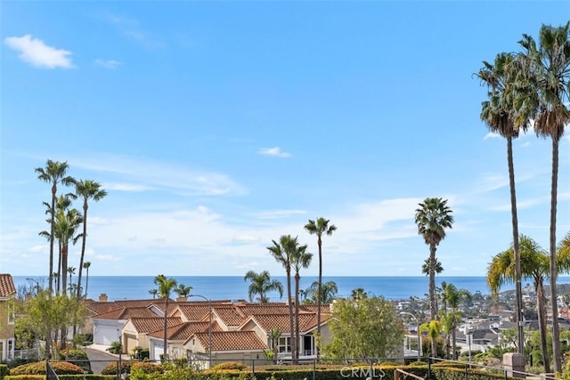 33551 Sandcastle Ct, Dana Point, CA 92629 - water view