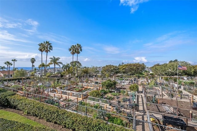 33551 Sandcastle Ct, Dana Point, CA 92629 - view of yard featuring a garden