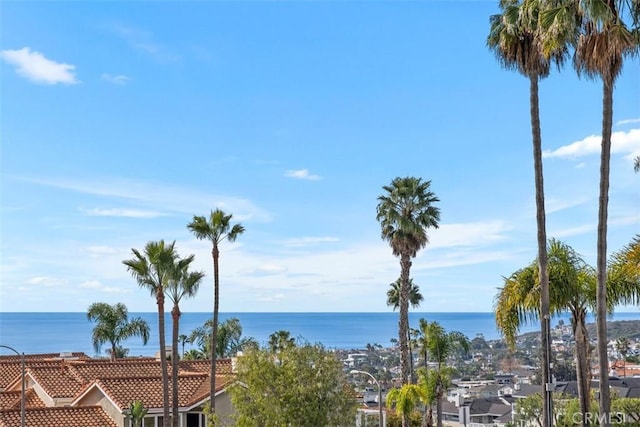 33551 Sandcastle Ct, Dana Point, CA 92629 - water view