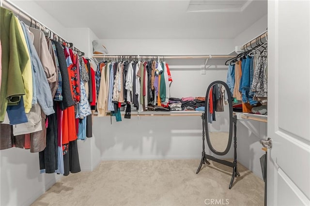 835 Orangedale Ave, Redlands, CA 92374 - walk in closet with attic access and carpet