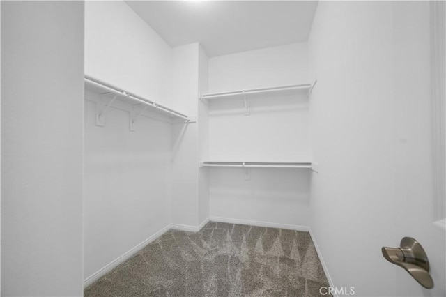 36845 Gemina Ave, Murrieta, CA 92563 - walk in closet with carpet floors