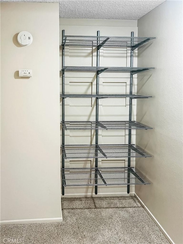400 S Flower St Unit 131, Orange, CA 92868 - view of storage area