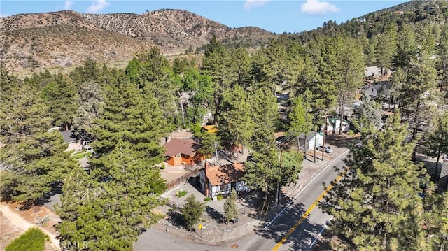 5821 Sheepcreek Dr, Wrightwood, CA 92397 - photo 35