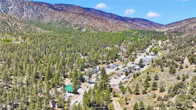 5821 Sheepcreek Dr, Wrightwood, CA 92397 - photo 43
