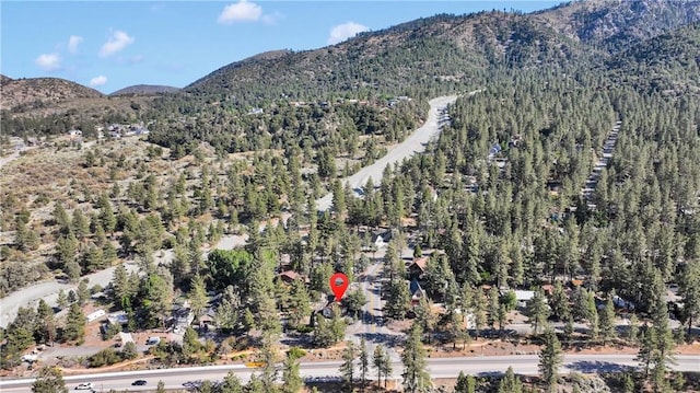 5821 Sheepcreek Dr, Wrightwood, CA 92397 - photo 40