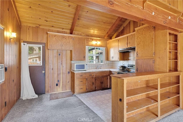 5821 Sheepcreek Dr, Wrightwood, CA 92397 - photo 19