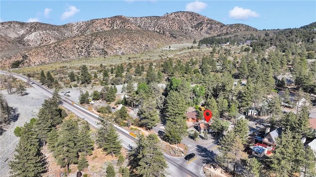 5821 Sheepcreek Dr, Wrightwood, CA 92397 - photo 39