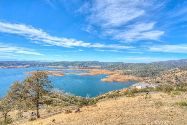 68 Bobcat Saddle, Oroville, CA 95966 - photo 42