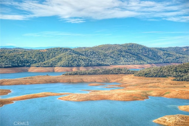 68 Bobcat Saddle, Oroville, CA 95966 - photo 63
