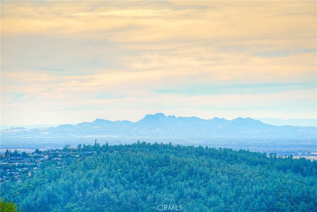 68 Bobcat Saddle, Oroville, CA 95966 - photo 66