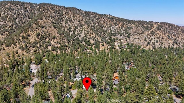 1527 Betty St, Wrightwood, CA 92397 - photo 32