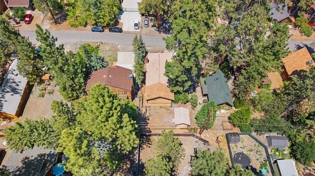 1527 Betty St, Wrightwood, CA 92397 - photo 31