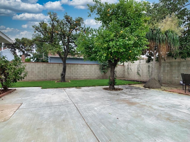 117 N Berniece Dr, Anaheim, CA 92801 - photo 14