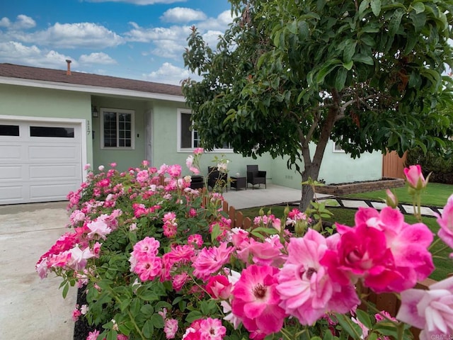 117 N Berniece Dr, Anaheim, CA 92801 - photo 5