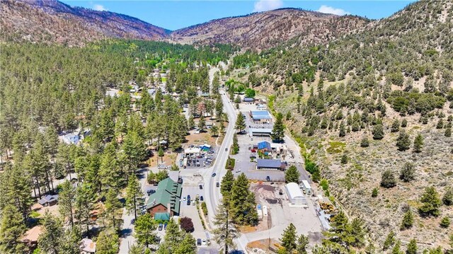 1056 Eagle Rd, Wrightwood, CA 92397 - photo 51