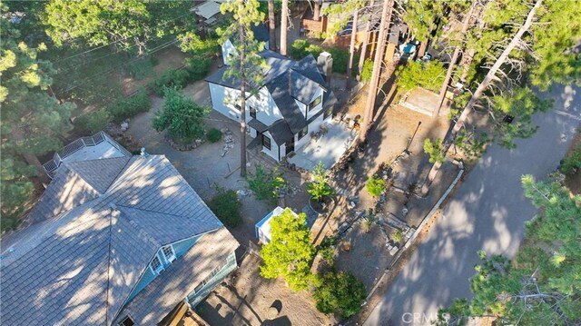 1056 Eagle Rd, Wrightwood, CA 92397 - photo 46